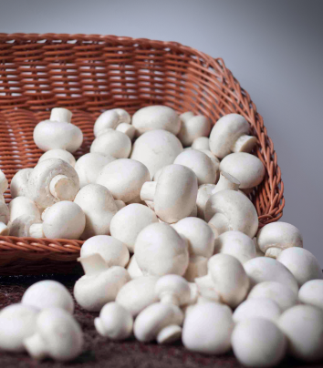 Champignons by weight