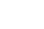 Логотип компанії Боровик