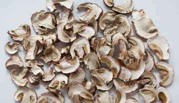 Dried mushrooms